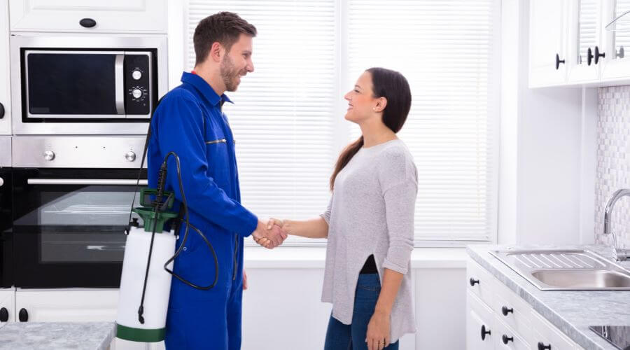 Professional black widow spider removal services in Batesburg-Leesville, Batesburg-Leesville